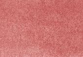 Jaipur Throw - Image 21