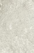 Supreme Bath Mat - Image 65